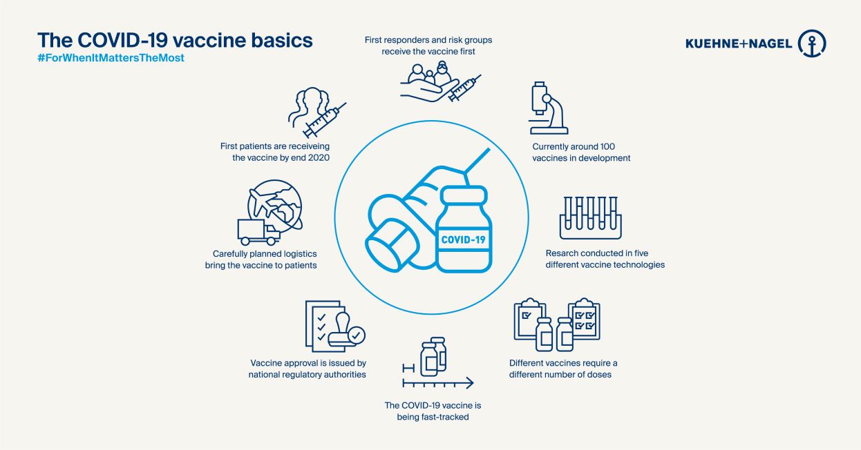 Infographic - COVID-19 basics